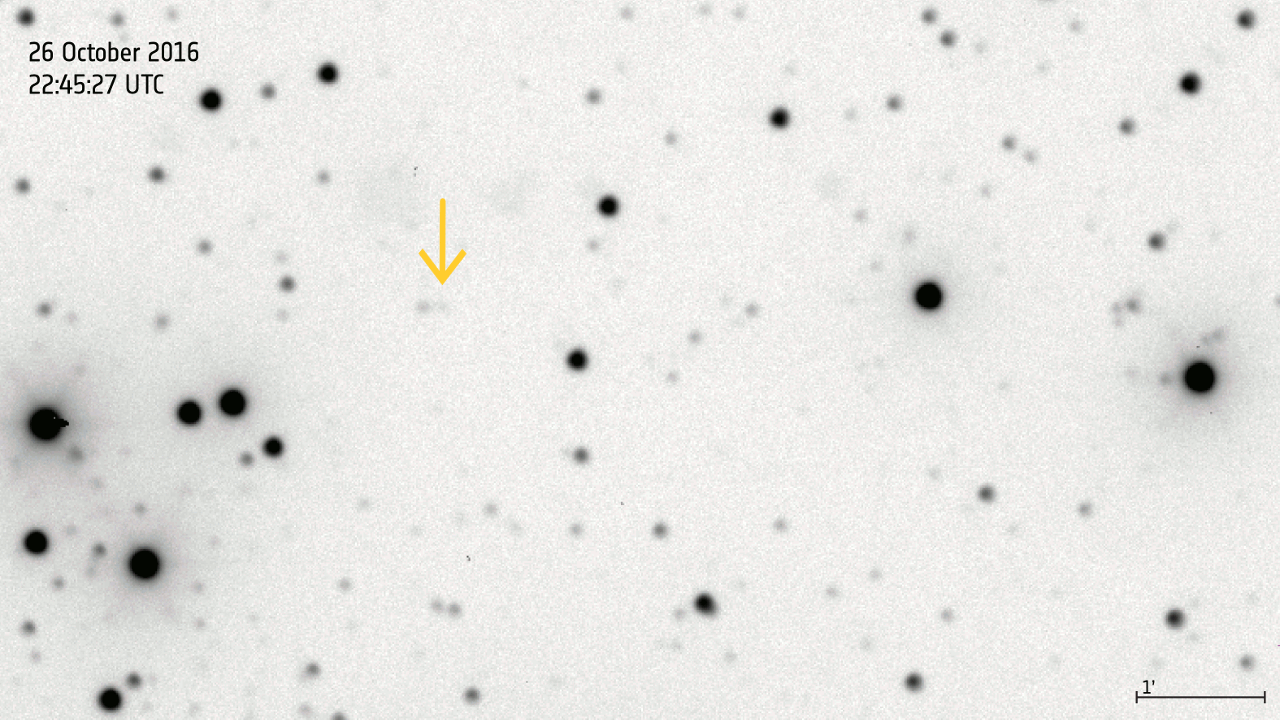 st_asteroid_gaia-606_20161026_anim.gif