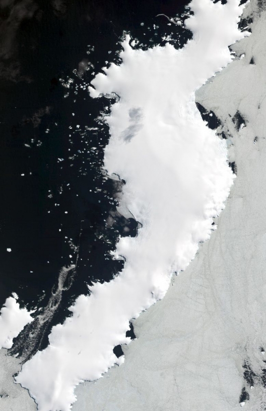 Glaciers de l&#039;île de Lavoisier (péninsule Antarctique)  par un satellite Pléiades